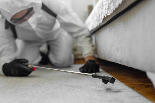 Professional Ant Control technician working in Old Miakka, FL