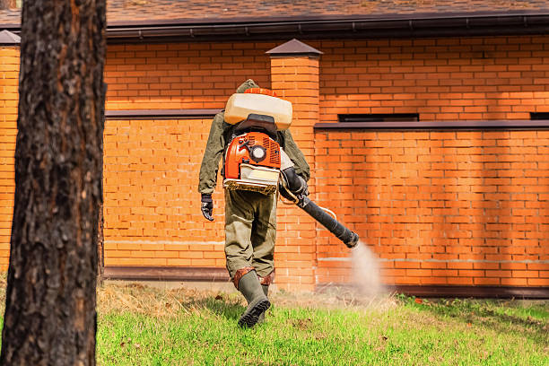 Trusted Cockroach Control service in Old Miakka, FL - Nex Pest Control